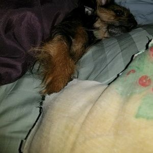 Meet your Posher, Carolyn